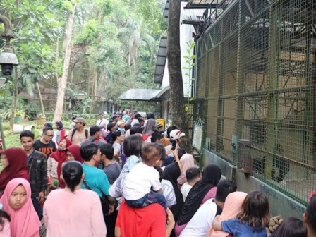 Pengunjung Ragunan Diklaim Capai 347.137 Orang