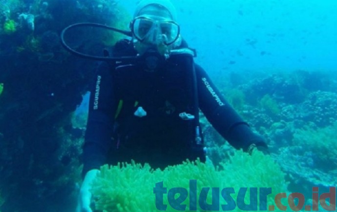 Wakatobi, Surga Bawah Laut Yang Menakjubkan
