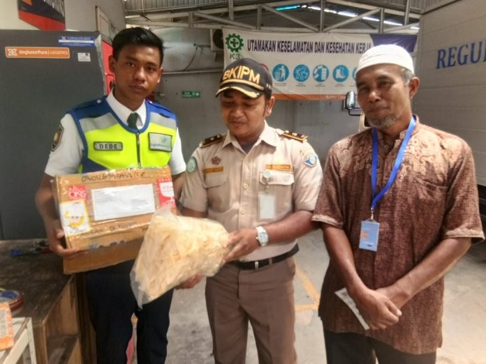 Penyeludupan Sirip Ikan Hiu Digagalkan