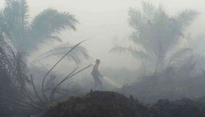 Waduh! Titik Panas Di Riau Alami Peningkatan