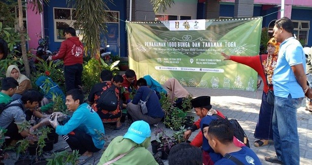 Kurangi Pemanasan Global, IMM Surabaya Tanam 1000 Bunga & Toga di Pesisir