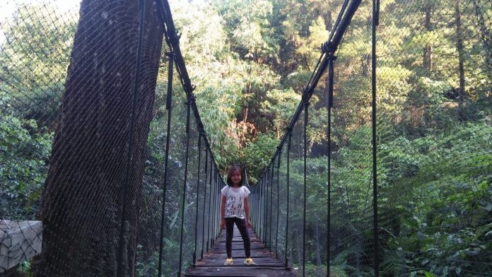 Penangkaran Elang Loji dan Air Terjun Bikin Mata Wisatawan Terperangah