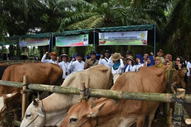 Kementan Dorong Pengembangan dan Kemandirian Pakan