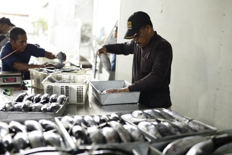 Berkat LPDB, Pengusaha Aceh Ini Ekspor Ikan Tuna Hingga ke Jepang