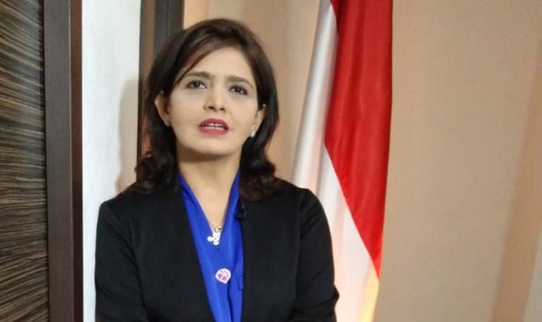 Genjot UMKM Hingga Ekspor, Caleg NasDem Puji Kinerja Jokowi