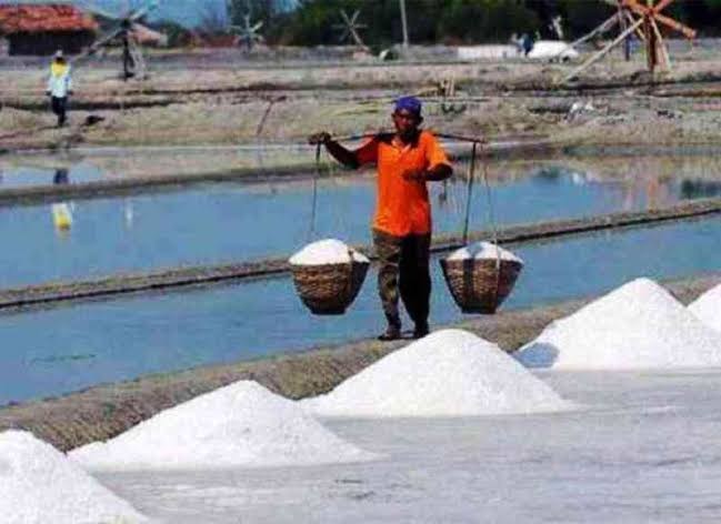 Petani Garam Teriak Akibat Harga Garam Terjun Bebas