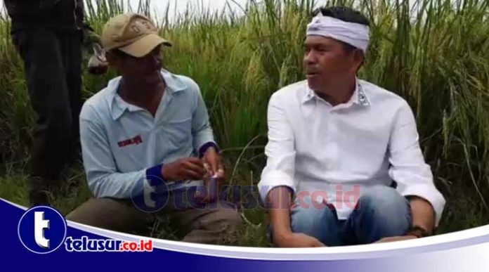 Luar Biasa… Dedi Ingin Buruh Tani di Jabar Diasuransikan