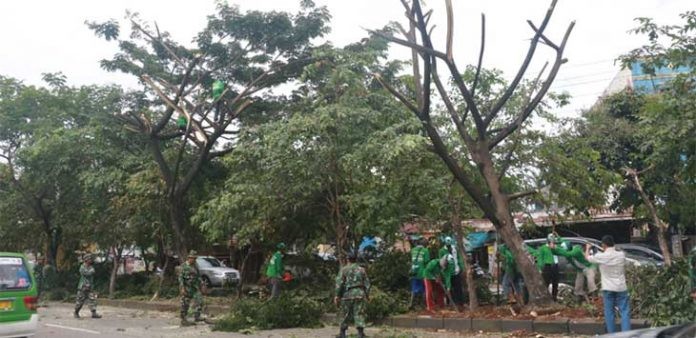 Pemprov DKI Relokasi 110 Pohon