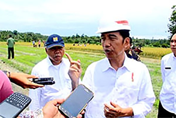 Blusukan Ke Jatim, Presiden Panen Jagung Di Tuban