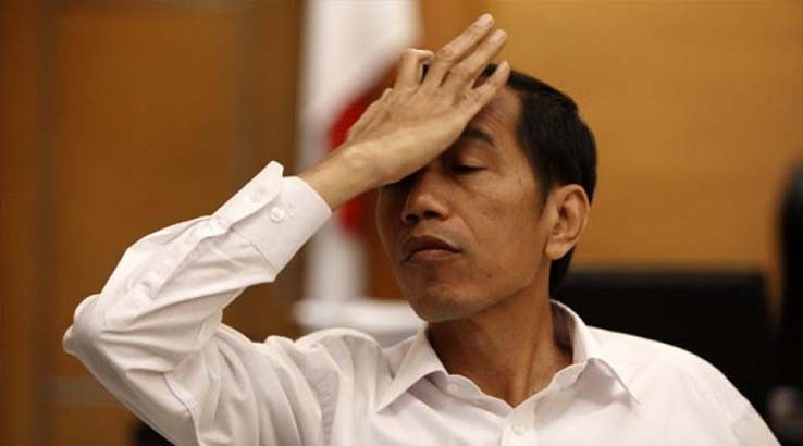 Tiket Pesawat Turun, Anak Buah Mega: Jangan Bikin Malu Jokowi!