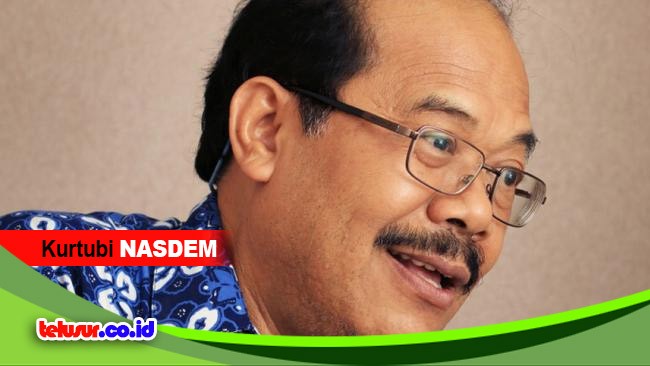 Polemik DMO, Nasdem Desak ESDM Kejar Target