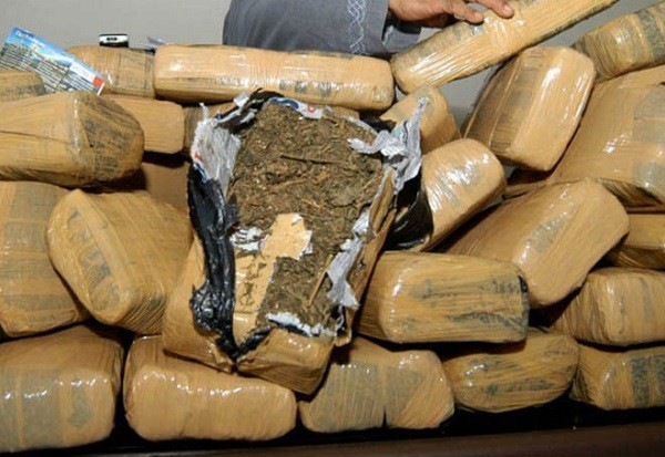 Stock Tahun Baru, Polisi Gagalkan Penyelundupan 92 Kg Ganja