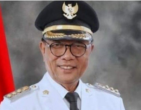 Bupati Kampar Wafat, Arsul Sani: PPP Berduka, Pak Aziz Kader Senior Terbaik yang Istiqomah