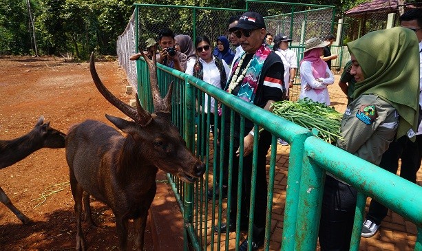 Anak Rusa di Tahura Sultan Adam diberi nama Tania