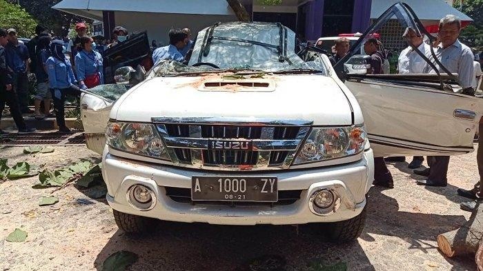 Pohon Tumbang di Universitas Pancasila, Satu Orang Tewas