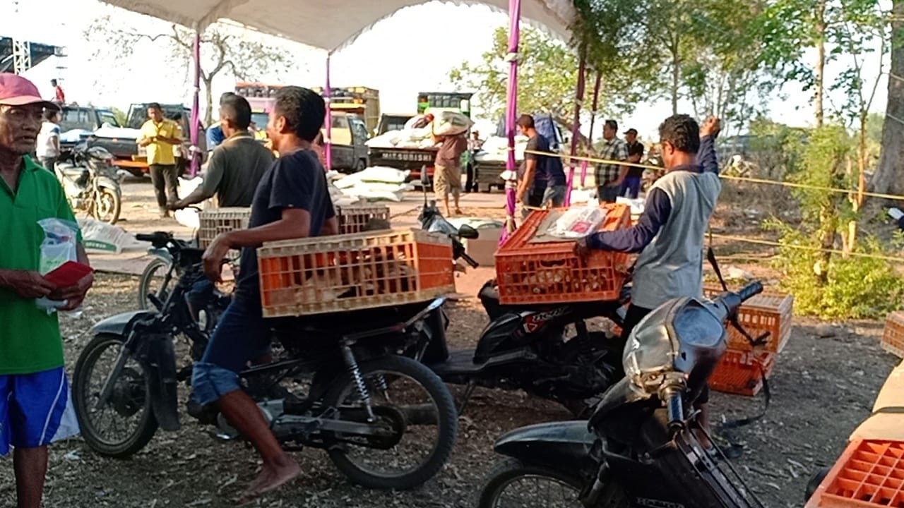 Kementan Pastikan Terus Distribusi Bantuan Ayam Pada Rakyat Miskin
