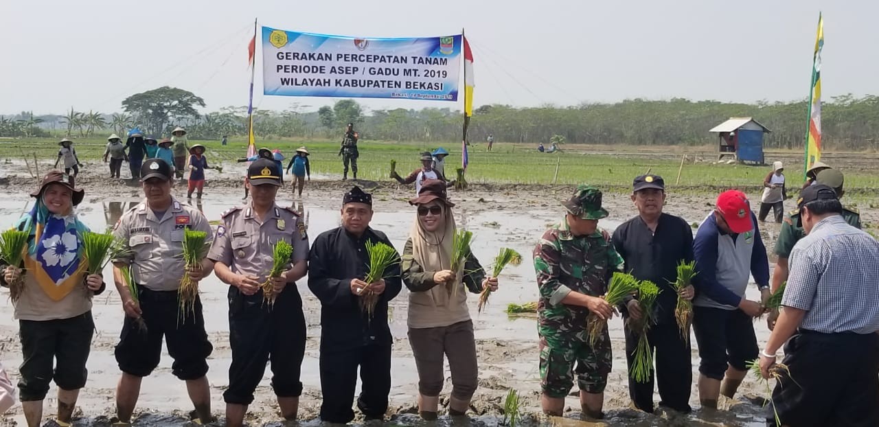 Canangkan Percepatan Tanam Gadu MT 2019, LTT Padi Kabupaten Bekasi Bertambah 13.450 Hektare