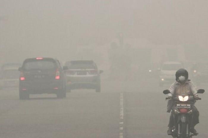 Anak-Anak Ikut Jadi Korban, KPAI Dorong Pemerintah Daerah Atasi Kebakaran