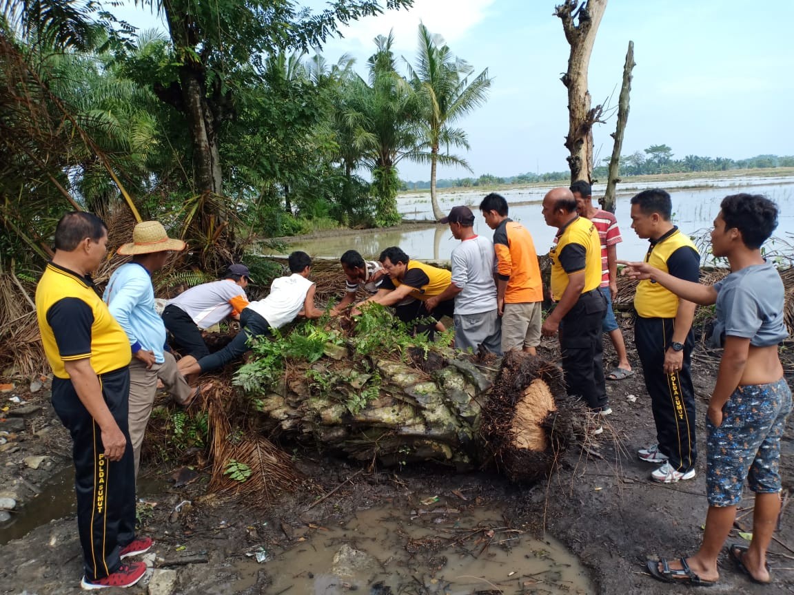 Jum'at Barokah : Kapolsek Bandar Khalifah Gotong Royong Massal Bersama Muspika dan Masyarakat