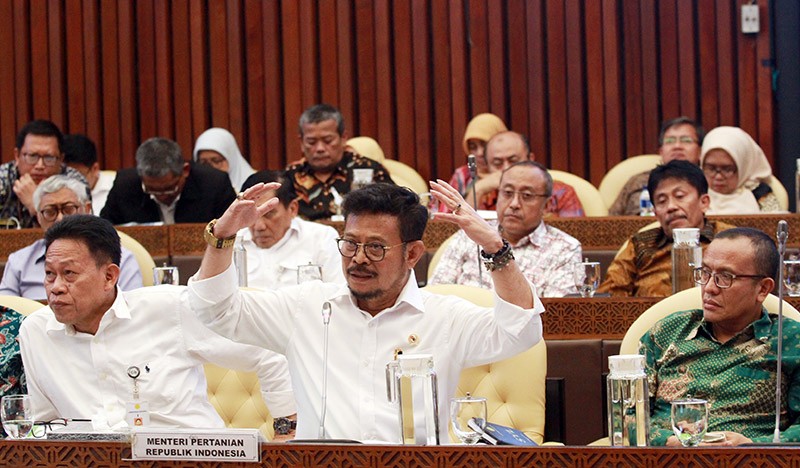 Mentan Syahrul Yasin Limpo