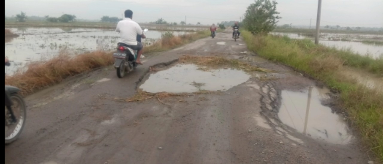 Warga Keluhkan Jalan Provinsi Seperti Kubangan Kerbau