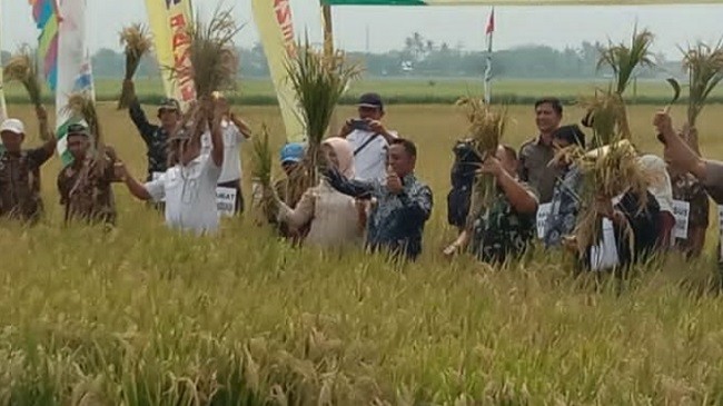 Bupati Berharap Kabupaten Bekasi Tetap Jadi Lumbung Padi Nasional