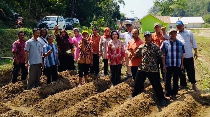 Tanaman Yakon, Guru Besar Unesa : Cocok Dikonsumsi untuk Pengidap Penyakit Diabetes