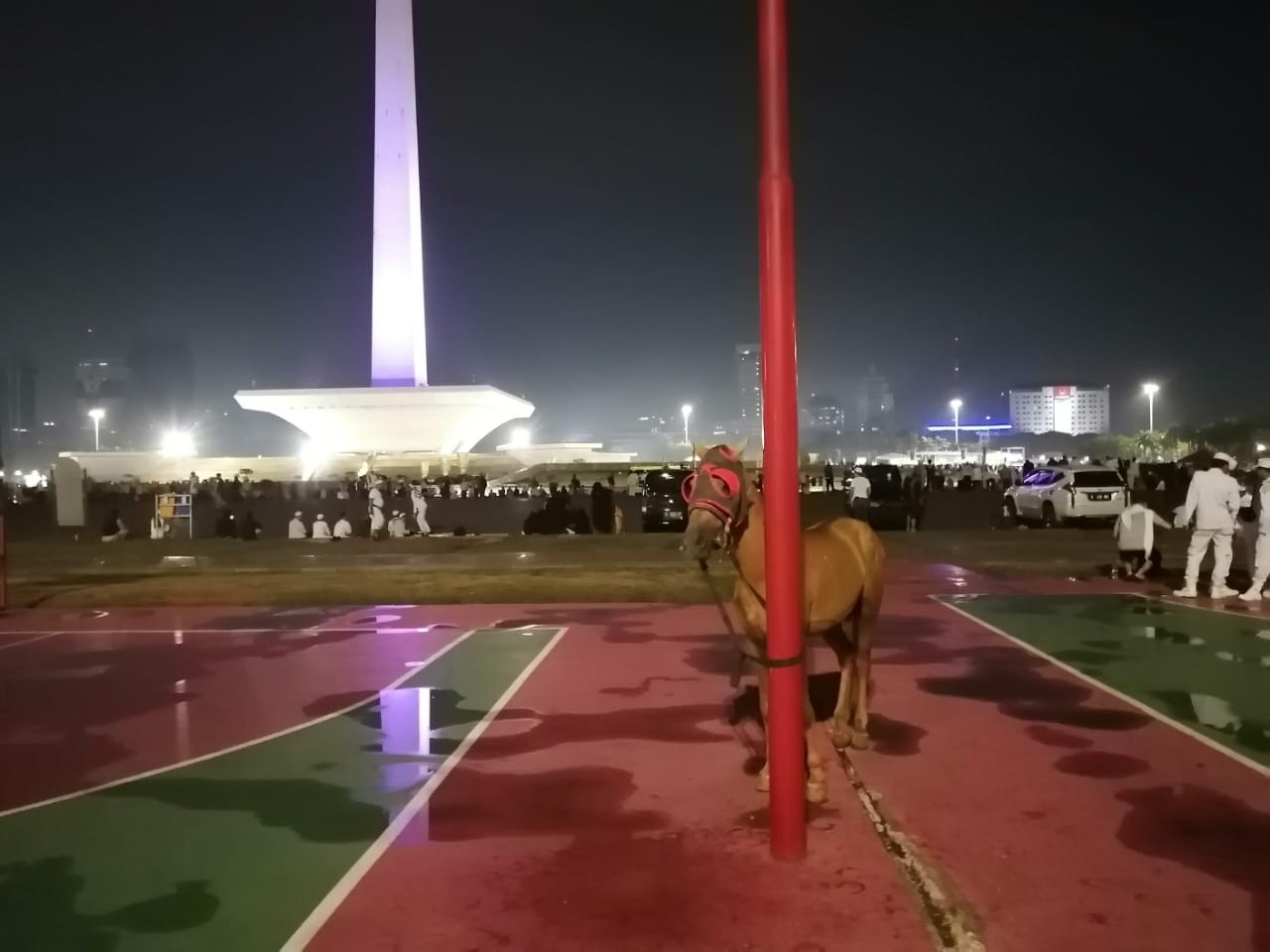Di Reuni 212, Beberapa Ekor Kuda Terus Meringkik