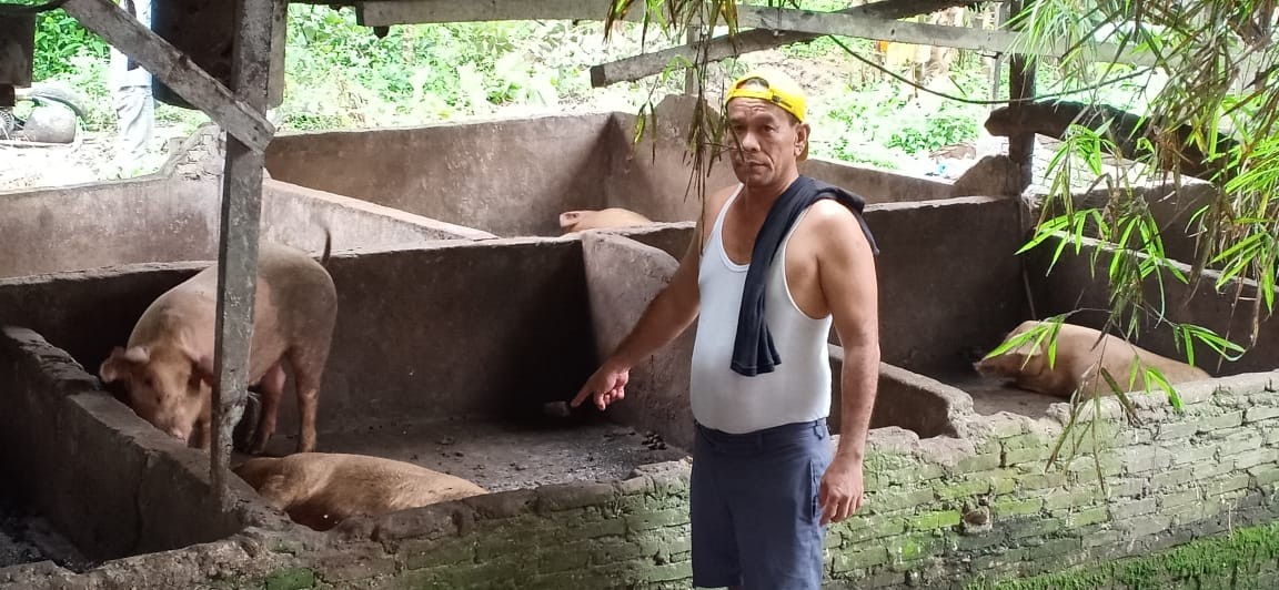 Peternak Babi Warga Damar Sari Minta DPRD Panggil Kadis Pertanian