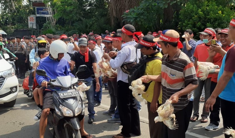 Desak Revisi UU Peternakan, Peternak Bagi-bagi Ayam di Depan Kantor Kementan