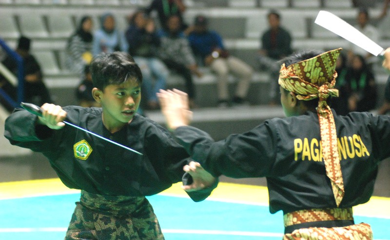 Pendekar Cilik Pagar Nusa