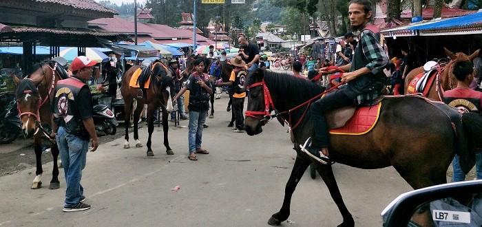 Berastagi Karo Kuda dan Delman
