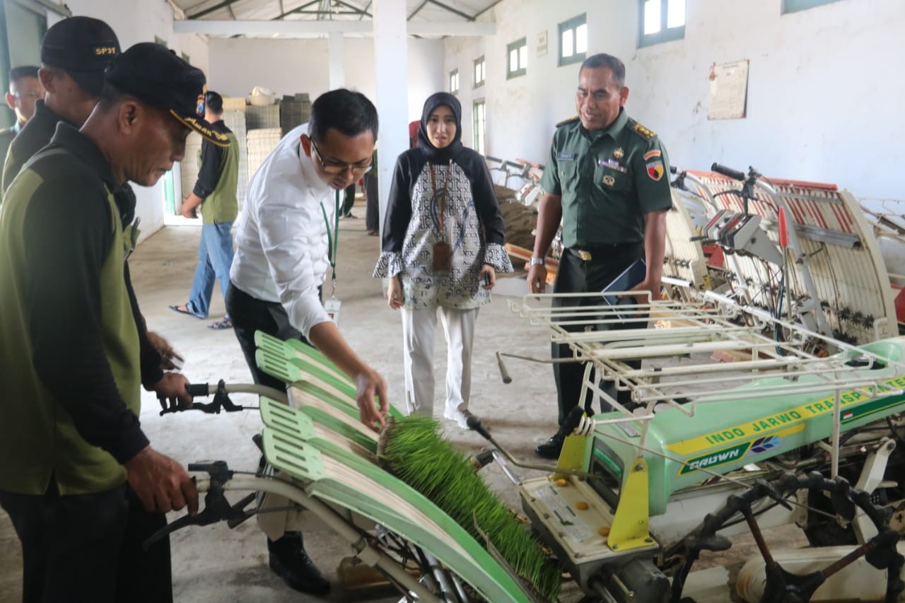 Banjir Pesanan Bibit Padi, Sp3t Jombang Tak Mampu Penuhi Permintaan