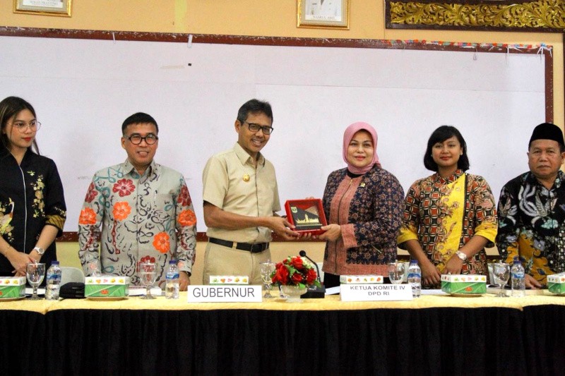 Komite IV DPD RI Soroti Kondisi Investasi Daerah