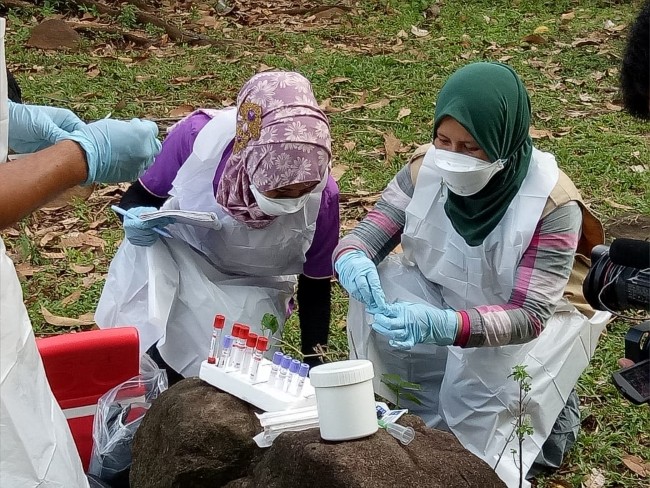 Cegah Virus Corona, Kementan Imbau Masyarakat Terus Tingkatkan Kewaspadaan 