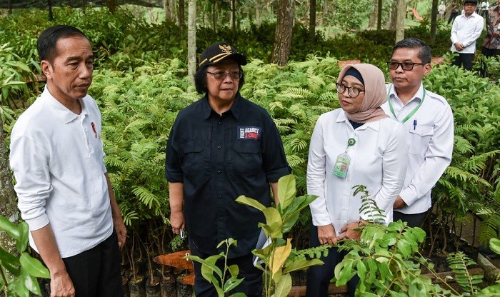 Menteri Siti Dampingi Jokowi Tinjau Taman Nasional Gunung Merapi