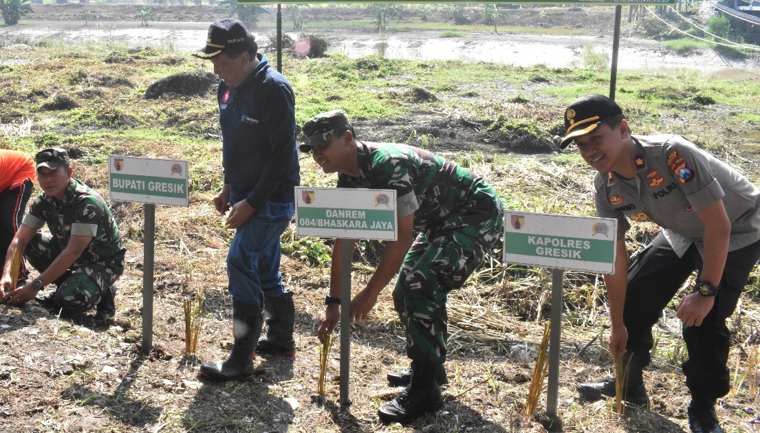 Antisipasi Longsor, TNI AD Tanam Ribuan Bibit Rumput Vetiver.