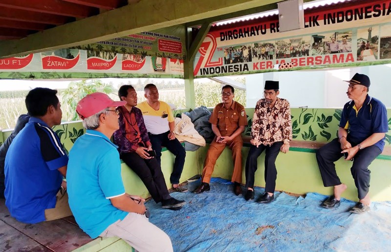 Anggota DPD Abdul Hakim Berdialog Dengan Petani Cabai Pringsewu Lampung