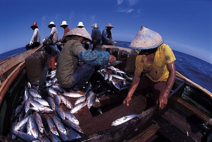 Di Tengah Nasib Sulit Nelayan, Imbauan Presiden Perbanyak Makan Ikan Terkesan Ambigu