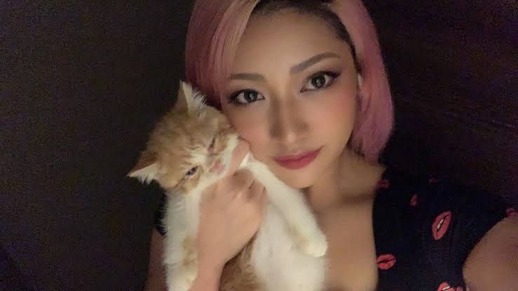 Tak Tahan Dibully, Bintang Pegulat Jepang Bunuh Diri