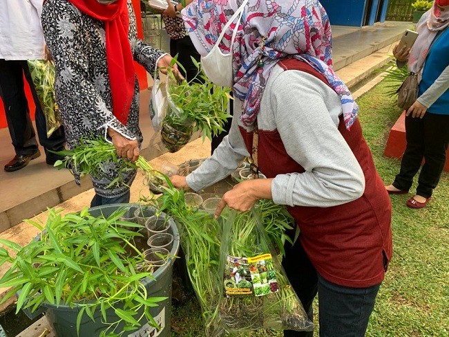Nutrisi Sayur dan Ikan Segar Bisa Cegah Penularan Corona