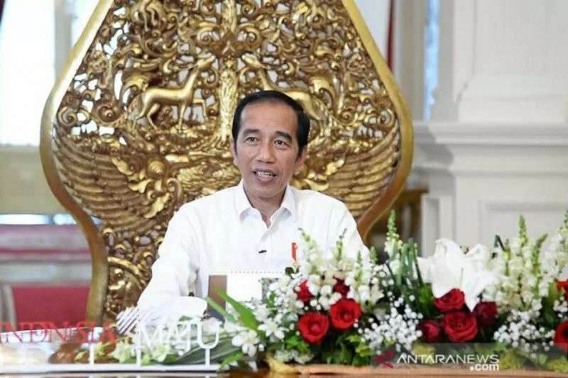 Aktivis HMI Ingatkan Jokowi Bisa Digulingkan