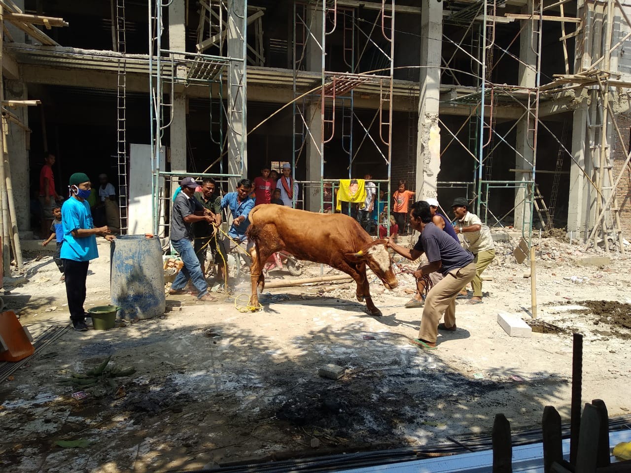 Yayasan Anak Bangsa Bagikan Daging Kurban