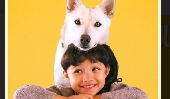 June dan Kopi, Dua Anjing Beradu Akting