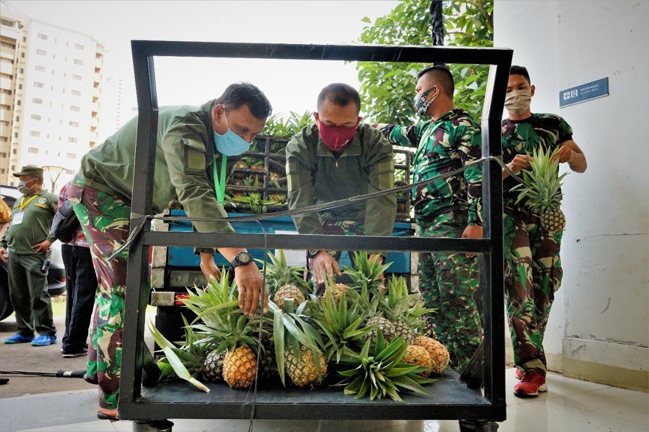 Koperasi Sumbang 1,4 Ton Nanas Untuk Tim Medis Dan Relawan Covid-19 Di Wisma Atlet