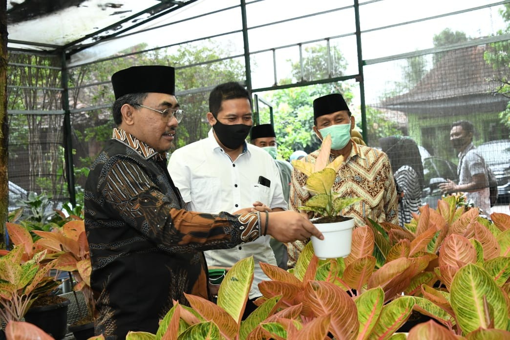 Kunjungi Krokot Nursery, Gus Jazil: Indonesia Bisa Menjadi Pengekspor Aglaonema