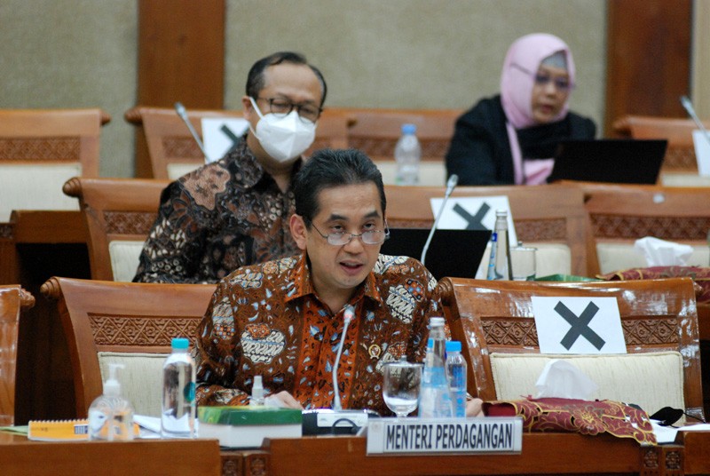 Mendag Raker Dengan Komisi VI DPR