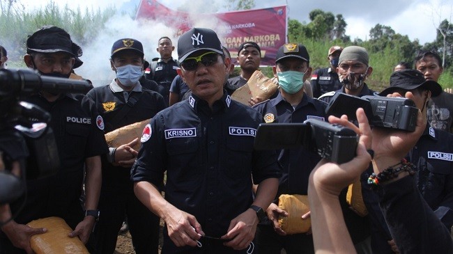 Bareskrim Polri Musnahkan Lima Hektar Ladang Ganja di Mandailing Natal