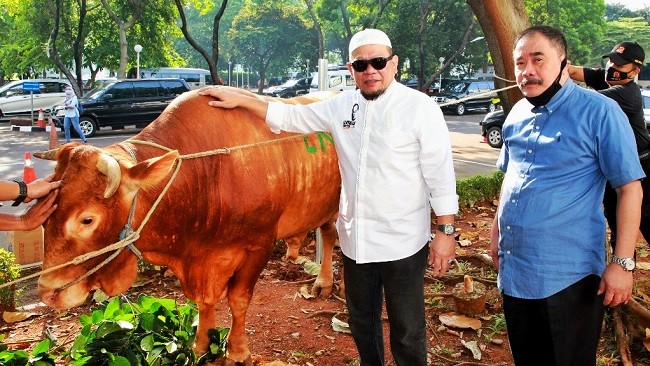Ketua DPD RI Minta Pemerintah Serius Tanggapi Potensi Lonjakan Harga Sapi Potong