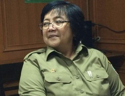 Soal Banjir Di Kalsel Ini Penjelasan MenLHK Siti Nurbaya